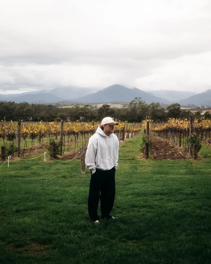 Among the vineyards