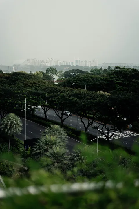 City beyond the trees